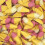 (1kg Sweet Pouch) Candy Cones 2