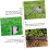 Ergonomic Garden Hoe Weeding Tool Small Hoe Sturdy for Gardening 4