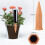 15Pack Plant Watering Devices, Automatic Watering System for Potted Plants, Self Watering Spikes 2