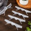 24 Pcs Plastic Beehive Beekeeping Tools Set Hive Beetle Trap Bulk Hive Trap Kit (Clear) 3