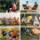 Compact Folding High Back Camping Chair for Hiking 4