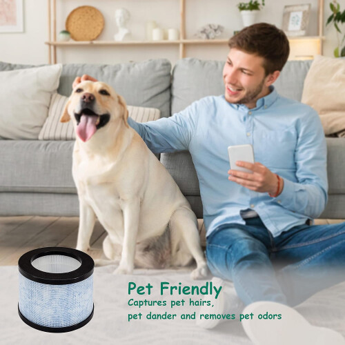 2 Pack True HEPA Replacement Filter for Air Purifiers and Cleaners 2