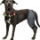 (M, Left) Dog Knee Brace For Acl, Knee Cap Dislocation, Arthritis - Keeps The Joint Warm - Extra Support - Reduces Pain 3