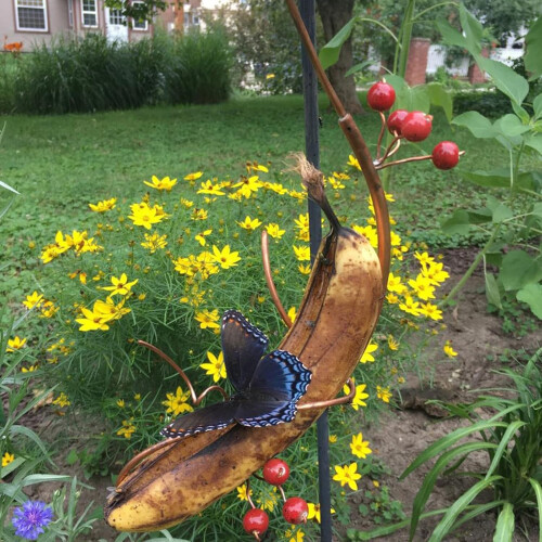 Butterfly Feeder for Outdoors  Butterfly Feeders for Outdoors Hanging  2 Pieces 1