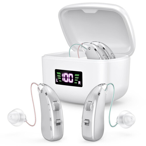 Easy to Operate Hearing Aid for Elderly, One Touch Adjustment, Built-in Noise Reduction, Rechargeable (Silver)