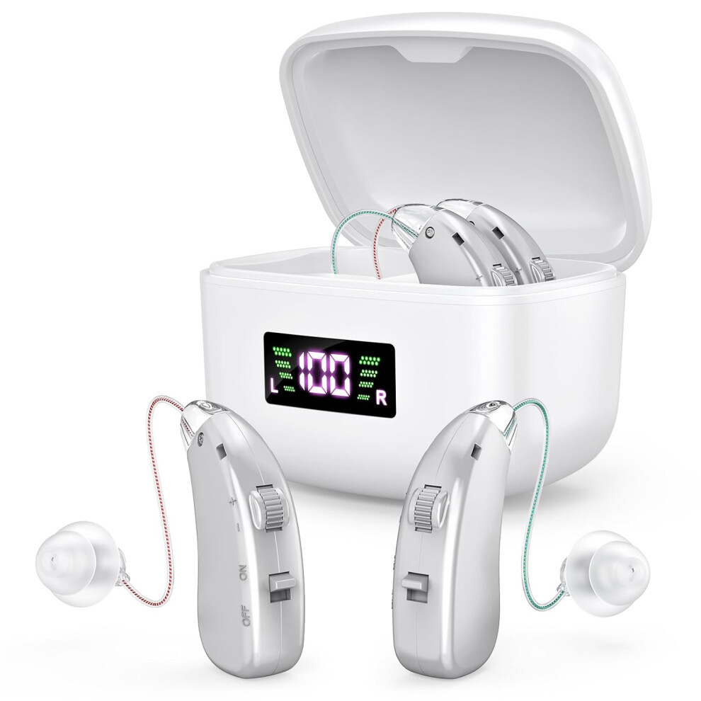Irich Silver Easy To Operate Hearing Aid For Elderly, One Touch Adjustment, Built-In Noise Reduction, Rechargeable (Silver)
