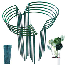 10 Pack Garden Plant Supports Stakes Metal 10' Widex16 High Interlock Round for Peony Rose