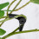 120Pack Adjustable Plant Clips, 360 Degree Plant Training Clips for Low Stress Training 4