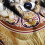Dreamcatcher Wolf Comforter Set Full Size,Native American Wolf Bedding Set,Bohemian Comforter Sets 2