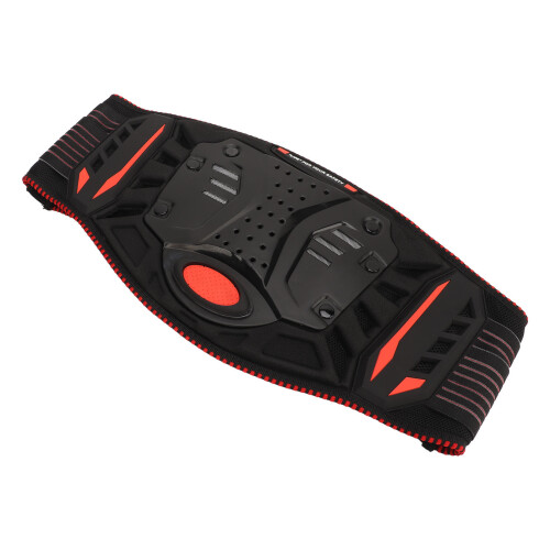 Professional Motorcycle Kidney Belt PP Shell Black 2