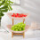 (2 Tier, Beige) Fruit Bowl,Fruit Basket Stand,Fruit Serving Tray 5