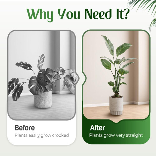 Plant Stem Stabilizer for Indoor Plants,   Reusable Plant Stem Support 1