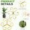 Plant Stem Stabilizer for Indoor Plants,   Reusable Plant Stem Support 3
