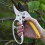 Professional Ratchet Pruning Shears  Gardening Shears, Ideal for Pruning Various Plants, Including Fruit Trees 5