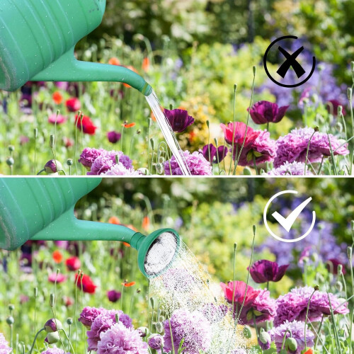 Watering can rose head for small gardens and kindergarten 2