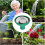 Watering can rose head for small gardens and kindergarten 4