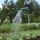 Watering Can Roses for Garden, Fruit, Vegetable Bed Irrigation 5