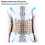 Opblaasbare taille tractiebrace riem wervelkolom lumbale 4