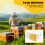 Honey Beehive Frames Beekeeping Box Bee Hive Polli 8
