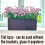 LaLaGreen Wall Planters Outdoor (20 Inch, 4 Pack) Brown Rectangular Window Flower Boxes 4