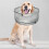 Inflatable Protective Pet Recovery Collar Biting  Tool Soft Inflatable Collar for Puppy Kitten 2