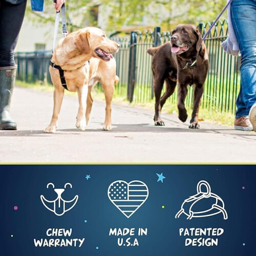 Freedom No Pull Dog Harness  Adjustable  Gentle  Comfortable Control for Easy Dog Walking 1
