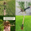 Stand Up Weeder Manual Weed Remover Weed Puller Tool with Foot Plate for Removing Weeds 2