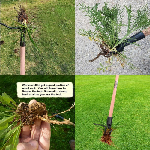 Stand Up Weeder Manual Weed Remover Weed Puller Tool with Foot Plate for Removing Weeds 1