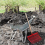 Manure Fork Replacement Head, Pitchfork Horse Rake, A 8