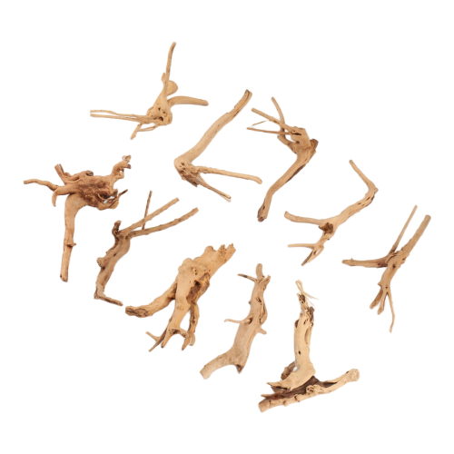 Mini Driftwood for Aquarium Natural Wood Branches (10 Pack) 2