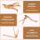 Mini Driftwood for Aquarium Natural Wood Branches (10 Pack) 9