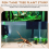 Mini Driftwood for Aquarium Natural Wood Branches (10 Pack) 5