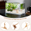 Mini Driftwood for Aquarium Natural Wood Branches (10 Pack) 6