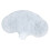 12 Pcs Cappuccino Coffee White Stencils Flowers Pad Duster 3