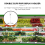 6.5" Height Transparent Plastic Sign Card Display Holder 9