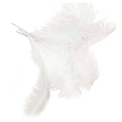 10 pcs Ostrich Feathers Wedding Party Decoration White 45-50cm 2