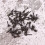 50pcs Carp Fishing Boilie Screw with Solid Ring Bait Tool 9