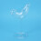 150Ml Bird Shape Cocktail Goblet Glass Molecular Smoked Modelling 10