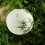 30cm Paper Lantern Oriental Style Light Decoration Chinese , Bamboo 6