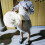 30cm Paper Lantern Oriental Style Light Decoration Chinese , Bamboo 5