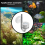 Set CO2 Diffuser Atomizer Regulator Reactor for Fish Tank Plant Moss 9