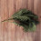 Artificial Palm Plant Leaf Tropical Big 10