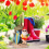 Resin Funny Gnome Figurines with Surfboard Welcome Sign 7