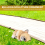 French Bulldog Sculpture Ornament Dog Statue Decor -Lying 5