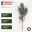 Christmas Berries Decor 8 PCS Artificial Pine Cones Branch Craft 7