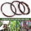 Bonsai Wire Kit- 9 Roll Anodized Aluminum Tree Training Wires - Brown 3