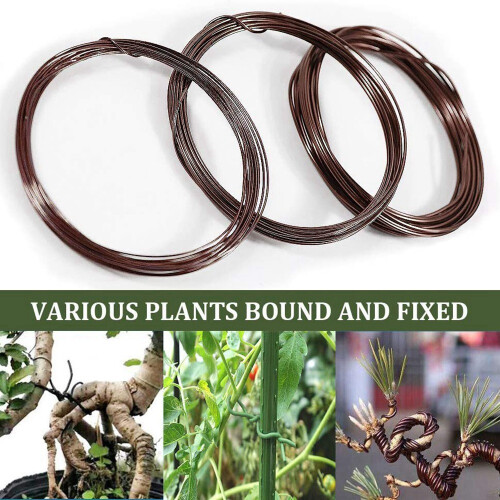 Bonsai Wire Kit- 9 Roll Anodized Aluminum Tree Training Wires - Brown 2