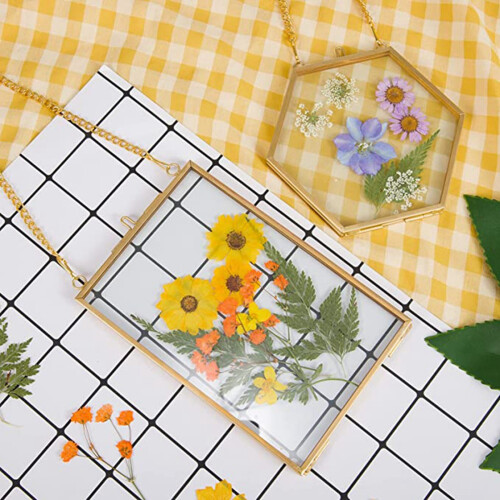 3 Packs Pressed Flowers Glass Frames- DIY Artwork Display Frames 2