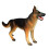Animal Organ Anatomy Model 4D Dog Intelligence Assembling Toy 3