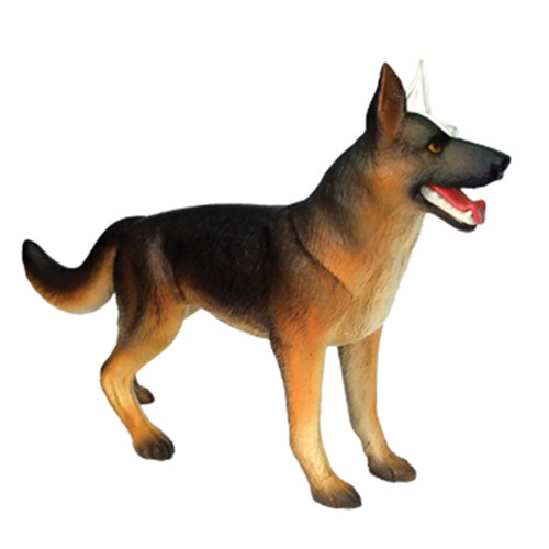 Animal Organ Anatomy Model 4D Dog Intelligence Assembling Toy 2